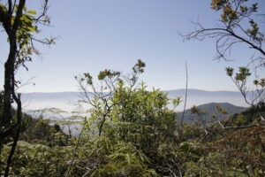 Con tres nuevas reservas naturales, el Distrito reitera su compromiso con la mitigación de los efectos del cambio climático