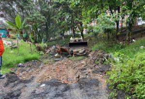 Con la siembra de 500 árboles en el sector de Madre Laura, Medellín continúa con el embellecimiento de sus espacios verdes.