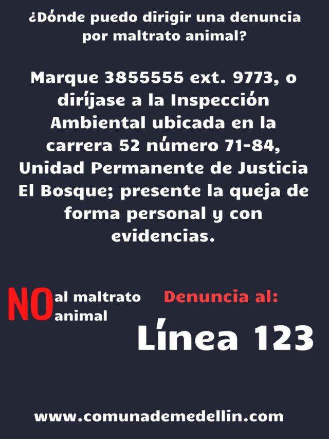 No al Maltrato animal en las Comunas de Medellin