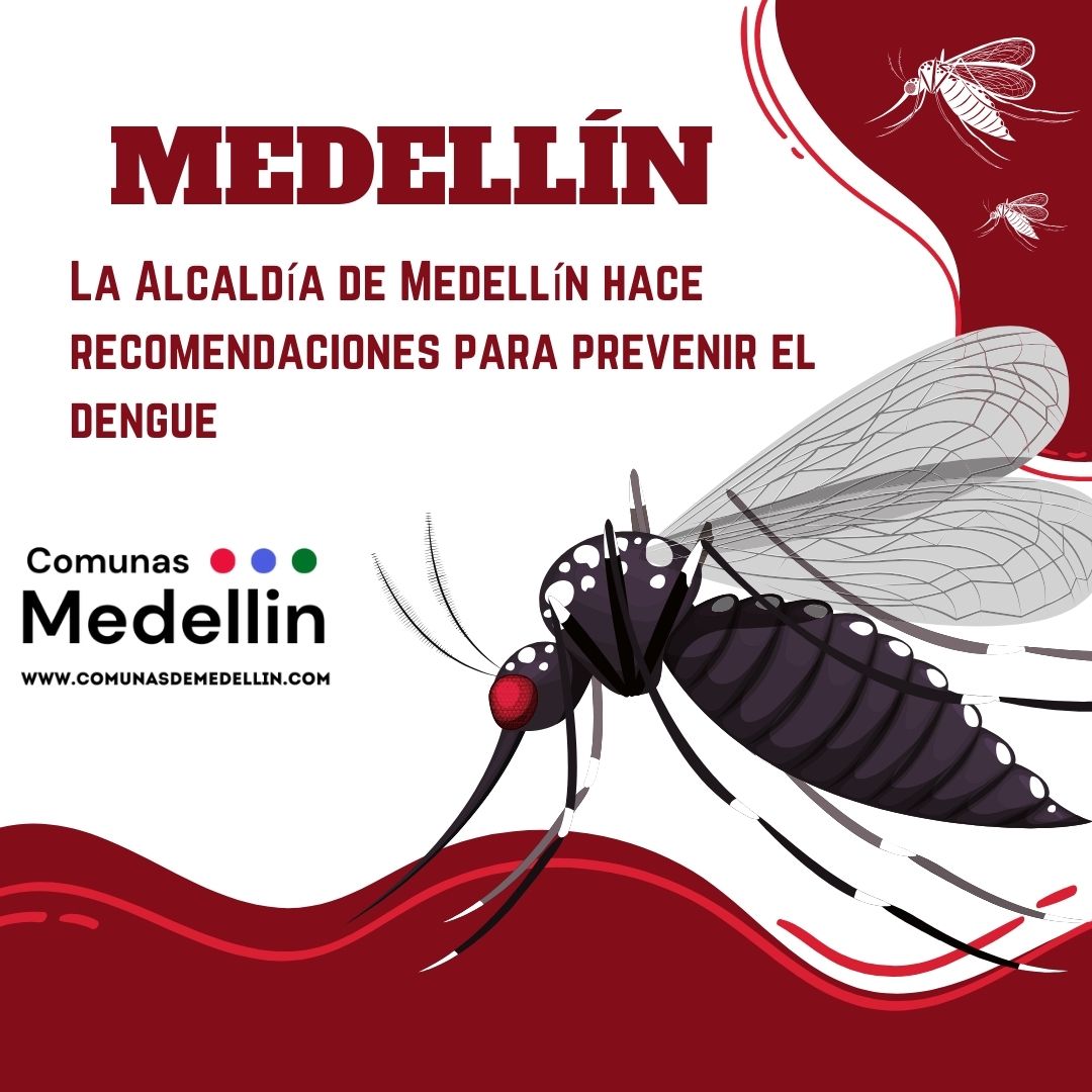 La Alcaldía de Medellín hace recomendaciones para prevenir el dengue