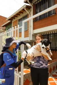 La vacunación de perros y gatos es clave para evitar el virus de la rabia en humanos