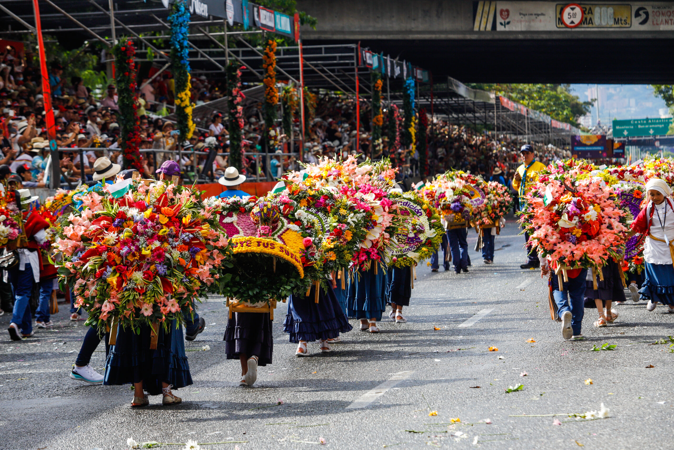 “Los silleteros y la Feria de las Flores simbolizan alegría en medio de los desafíos”: alcalde Federico Gutiérrez