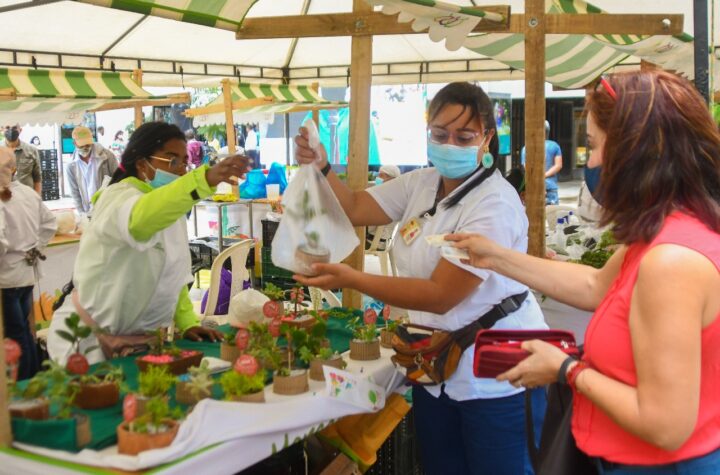 Los Mercados Campesinos estarán por primera vez en Provenza