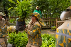 Con más corredores verdes, Medellín enfrenta el calentamiento global y baja su temperatura