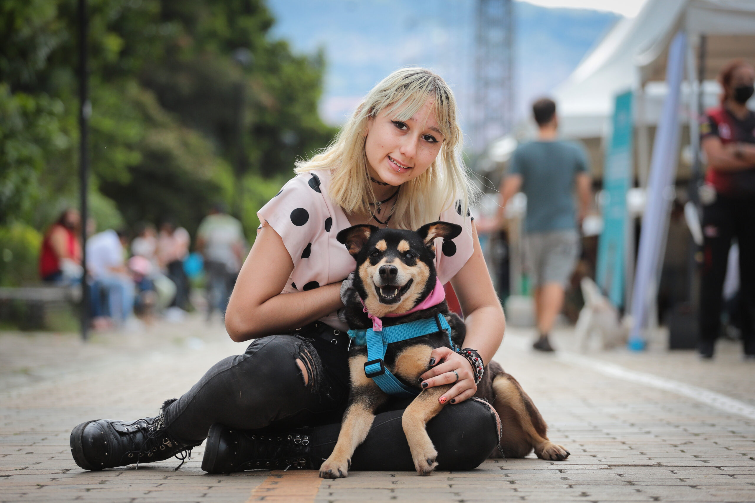 Este año, el Distrito ha efectuado 458 visitas a centros veterinarios para velar por su correcto funcionamiento