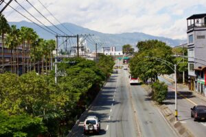 Medellín vuelve a florecer