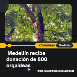 Como un regalo para embellecer sus espacios públicos, Medellín recibe donación de 800 orquídeas