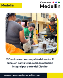 Distrito atiende a 130 animales afectados en Santa Cruz