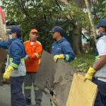 3.141 Cambuches Desmontados Medellín
