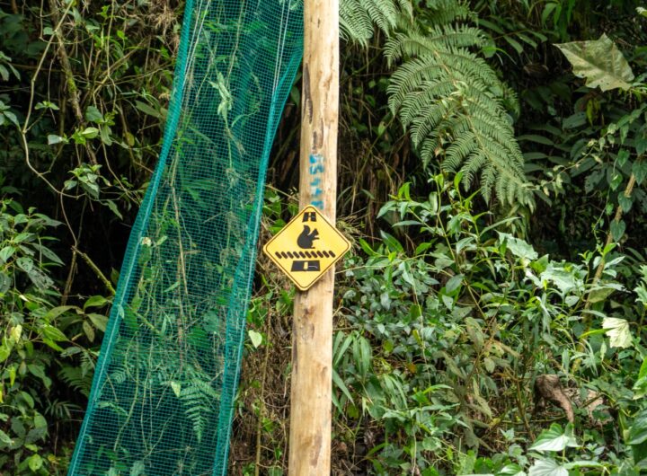 La Alcaldía instaló nuevos pasos para proteger a la fauna de atropellamientos en zonas críticas de Medellín