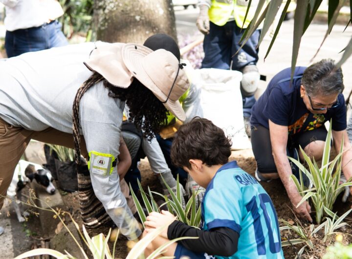 Un niño y varios adultos siembran plantas ornamentales en un espacio público de Medellín