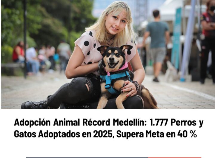 Adopción Animal Récord Medellín
