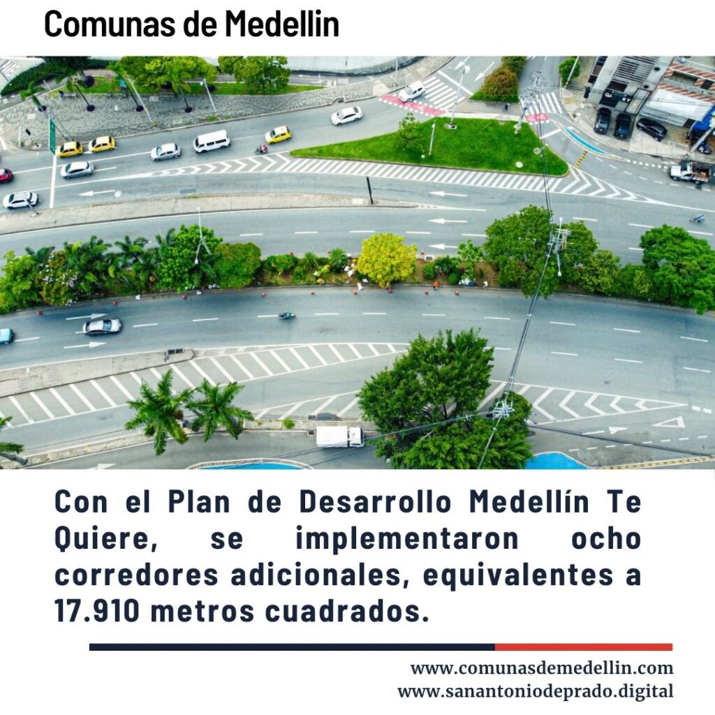 Vista aérea de corredores verdes en Medellín con árboles altos refrescando la ciudad, vía con carros y ciclorruta marcada, biodiversidad urbana protegida - Comunas de Medellín