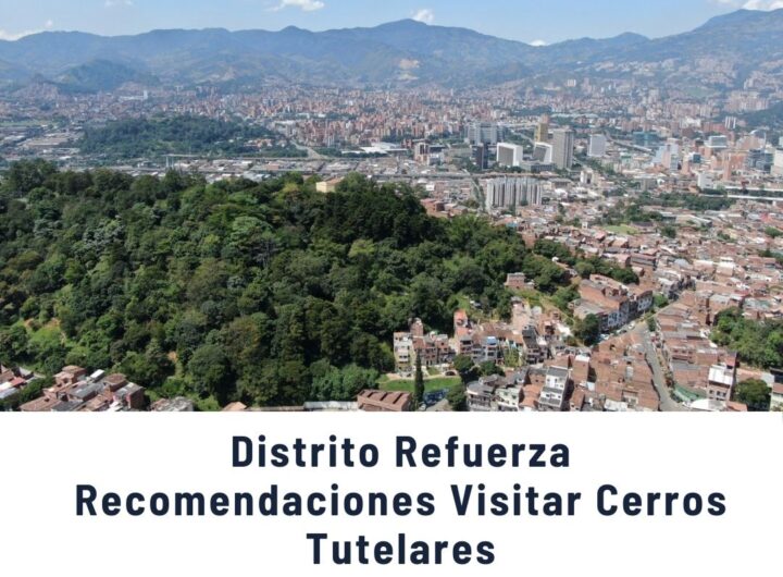 "Vista panorámica de Medellín desde los cerros tutelares: Distrito Refuerza recomendaciones para visitar responsablemente protegiendo ambiente, fauna y naturaleza