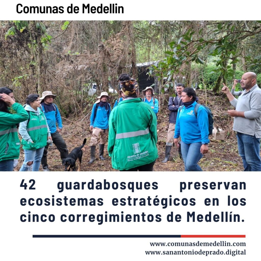 Grupo de 42 guardabosques de la Alcaldía de Medellín en uniforme verde, reunidos en un bosque denso de los corregimientos, conversando y trabajando en la preservación de ecosistemas estratégicos con un perro de apoyo.