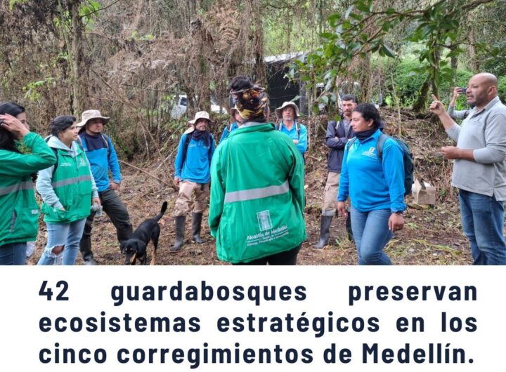 Grupo de 42 guardabosques de la Alcaldía de Medellín en uniforme verde, reunidos en un bosque denso de los corregimientos, conversando y trabajando en la preservación de ecosistemas estratégicos con un perro de apoyo.