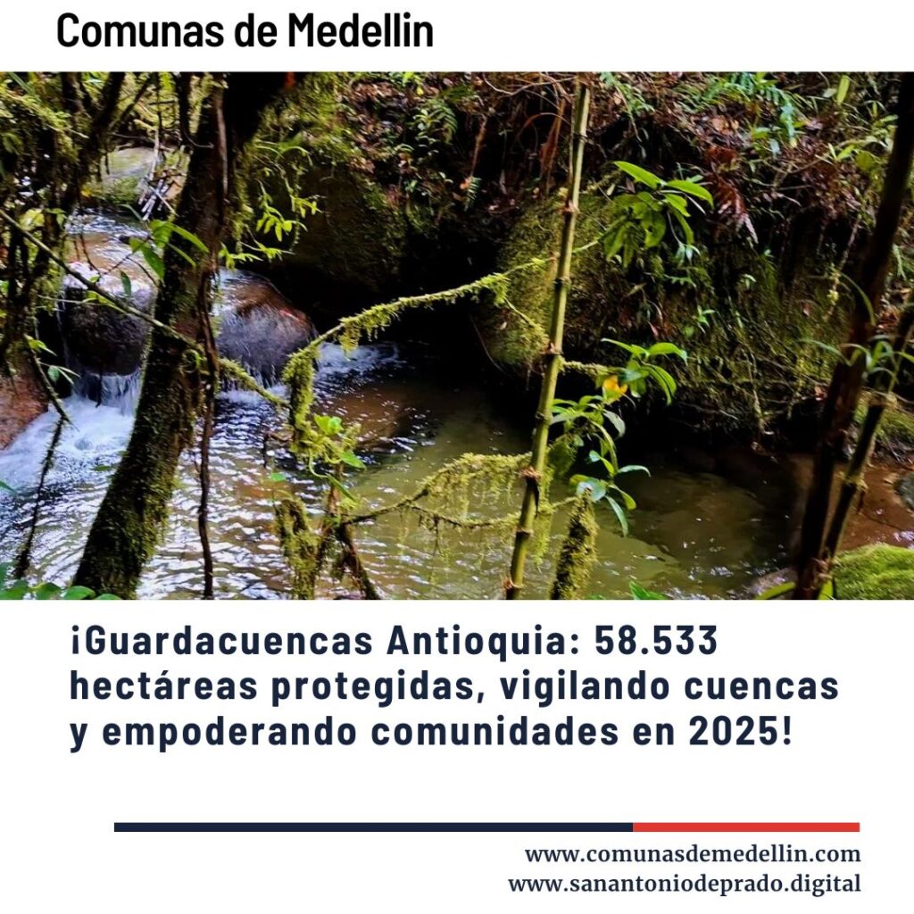 Quebrada en bosque húmedo tropical, representando las cuencas hidrográficas protegidas por el programa Guardacuencas Antioquia, que en 2025 custodia más de 58.533 hectáreas para vigilar fuentes hídricas y empoderar comunidades locales.