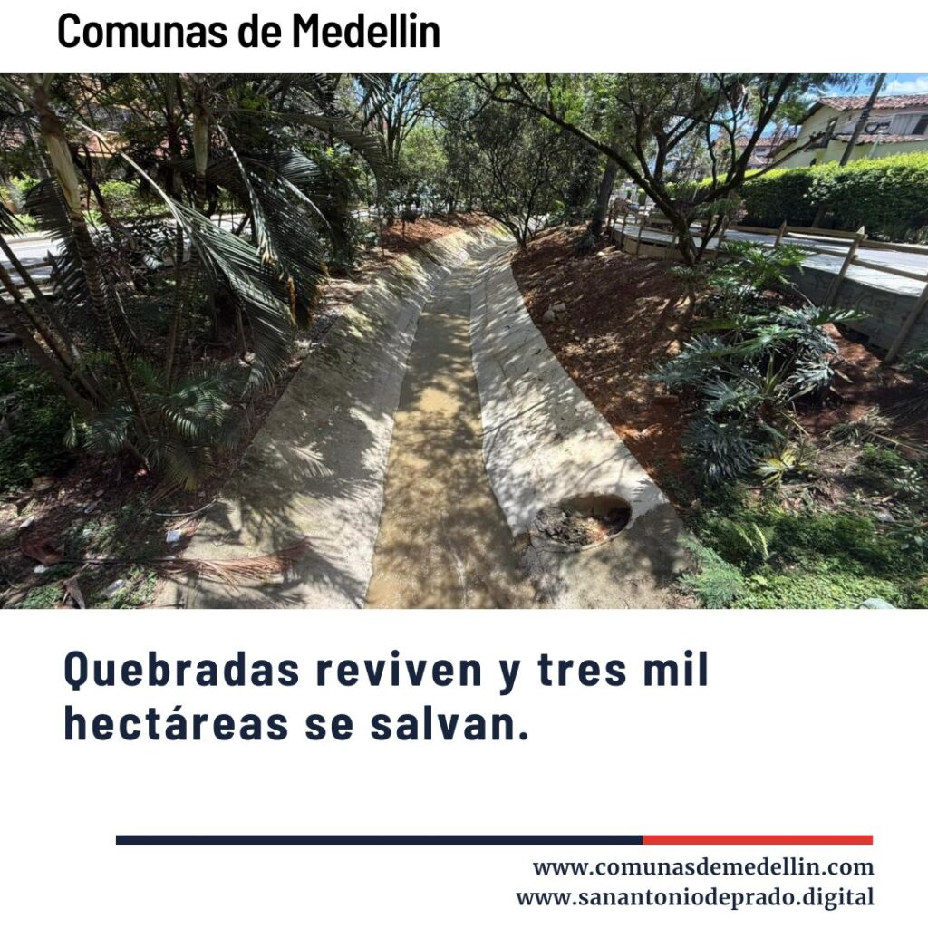 Quebrada recuperada en Medellín con canalización y vegetación nativa protegida