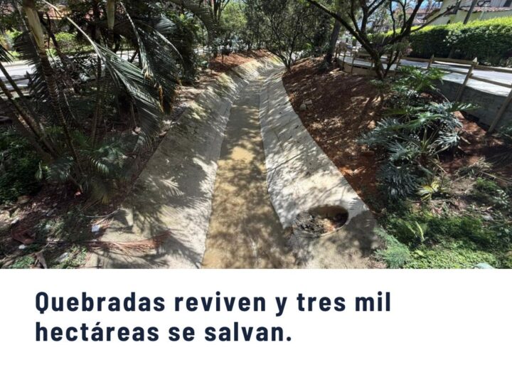 Quebrada recuperada en Medellín con canalización y vegetación nativa protegida