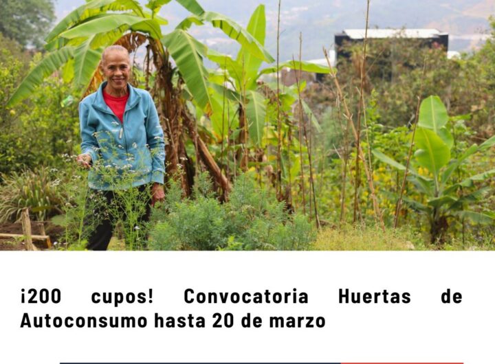 Medellín abre convocatoria Huertas de Autoconsumo 2026