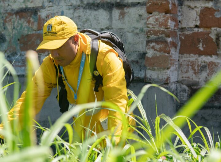 Medellín reduce 69.4 % casos de dengue 2026