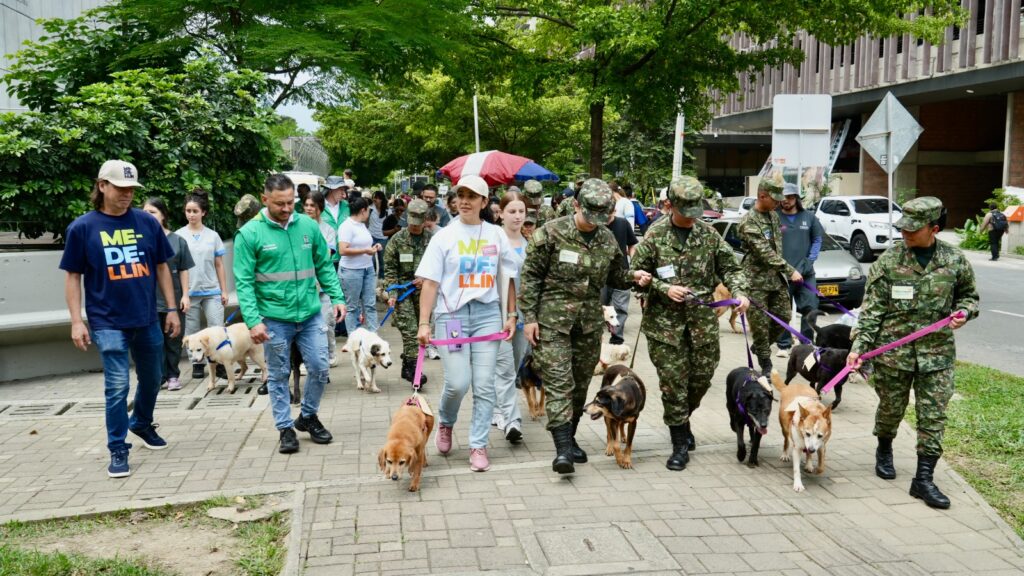 Medellín logra 50 adopciones en primera Adoptatón del año