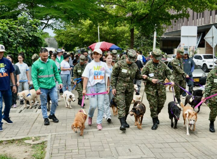 Medellín logra 50 adopciones en primera Adoptatón del año