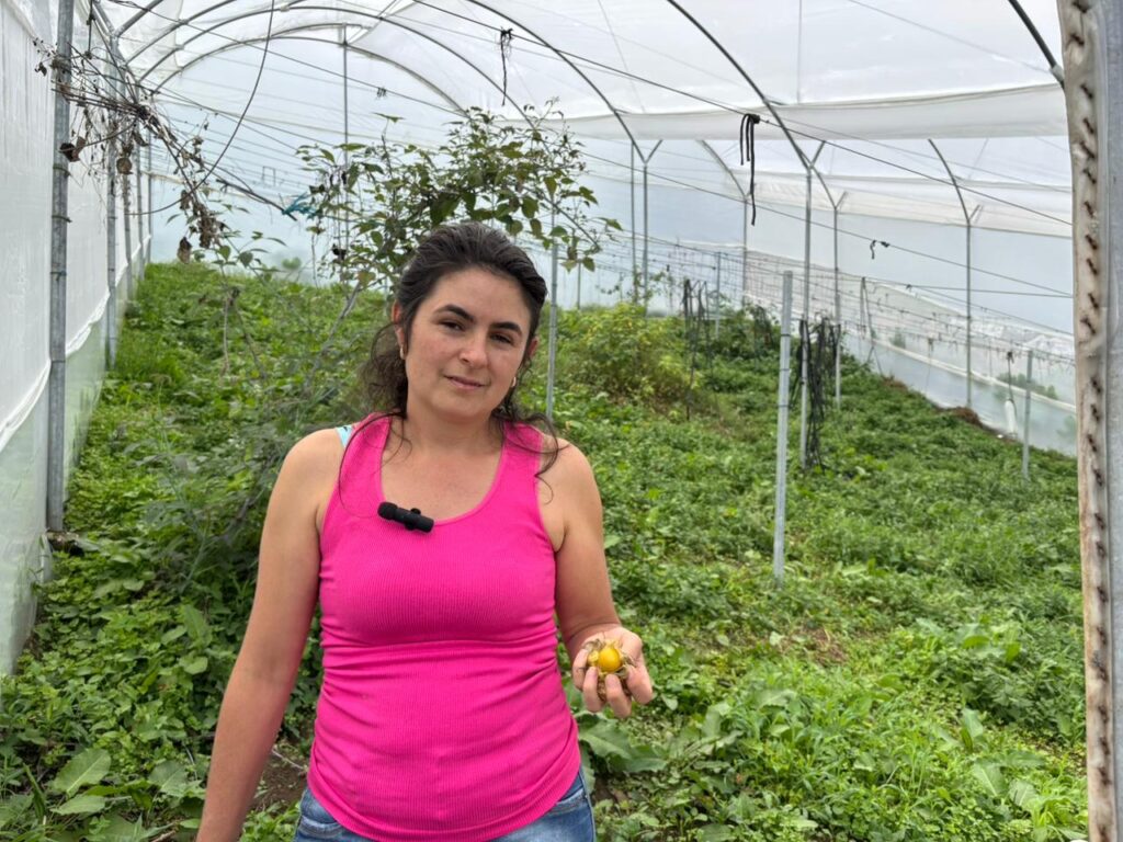 Medellín impulsa infraestructura para 37 productores agropecuarios