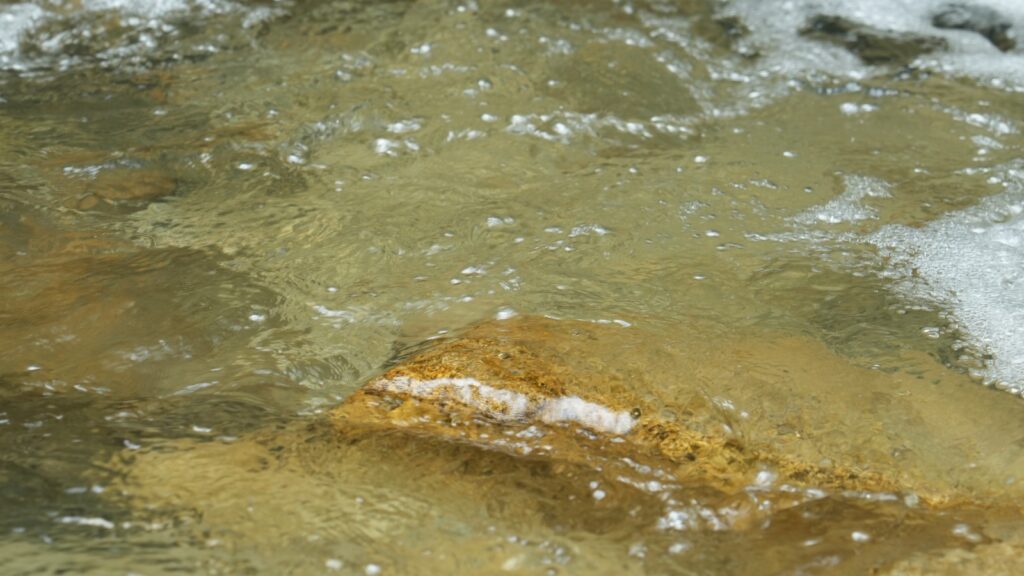 17 reservas naturales