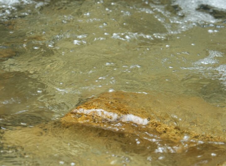 17 reservas naturales