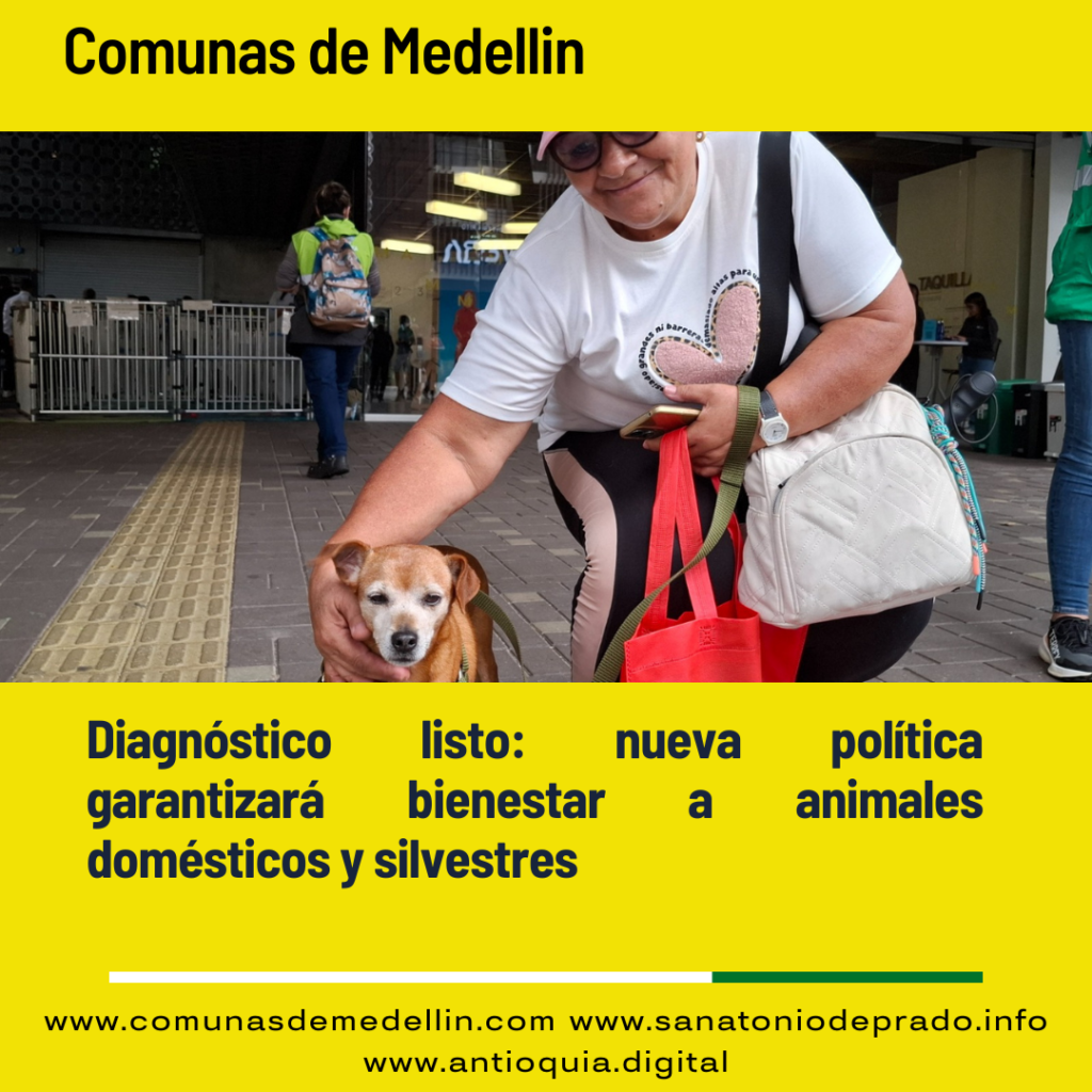 Medellín avanza en Política de Protección Animal