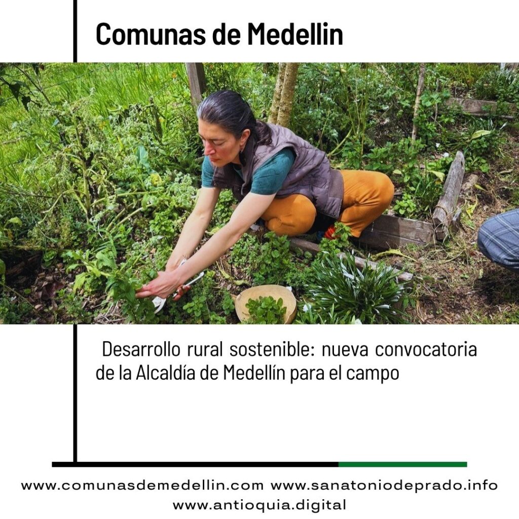 Convocatoria abierta