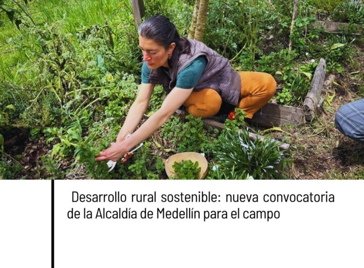 Convocatoria abierta