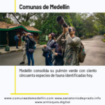 Cerro Nutibara 90 especies flora 150 fauna pulmón Medellín 2026