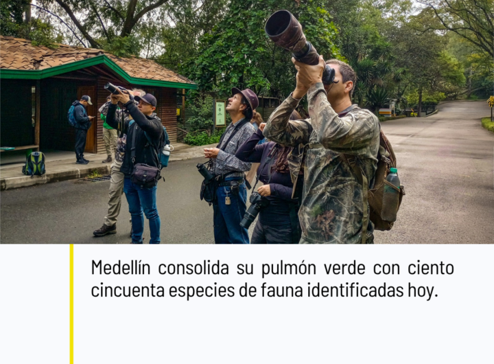 Cerro Nutibara 90 especies flora 150 fauna pulmón Medellín 2026