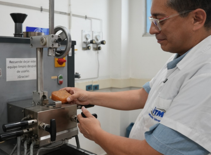 ITM innova con ladrillos antisísmicos de caucho y caña