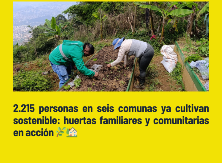 *239 ecohuertas impulsan sostenibilidad en Medellín**