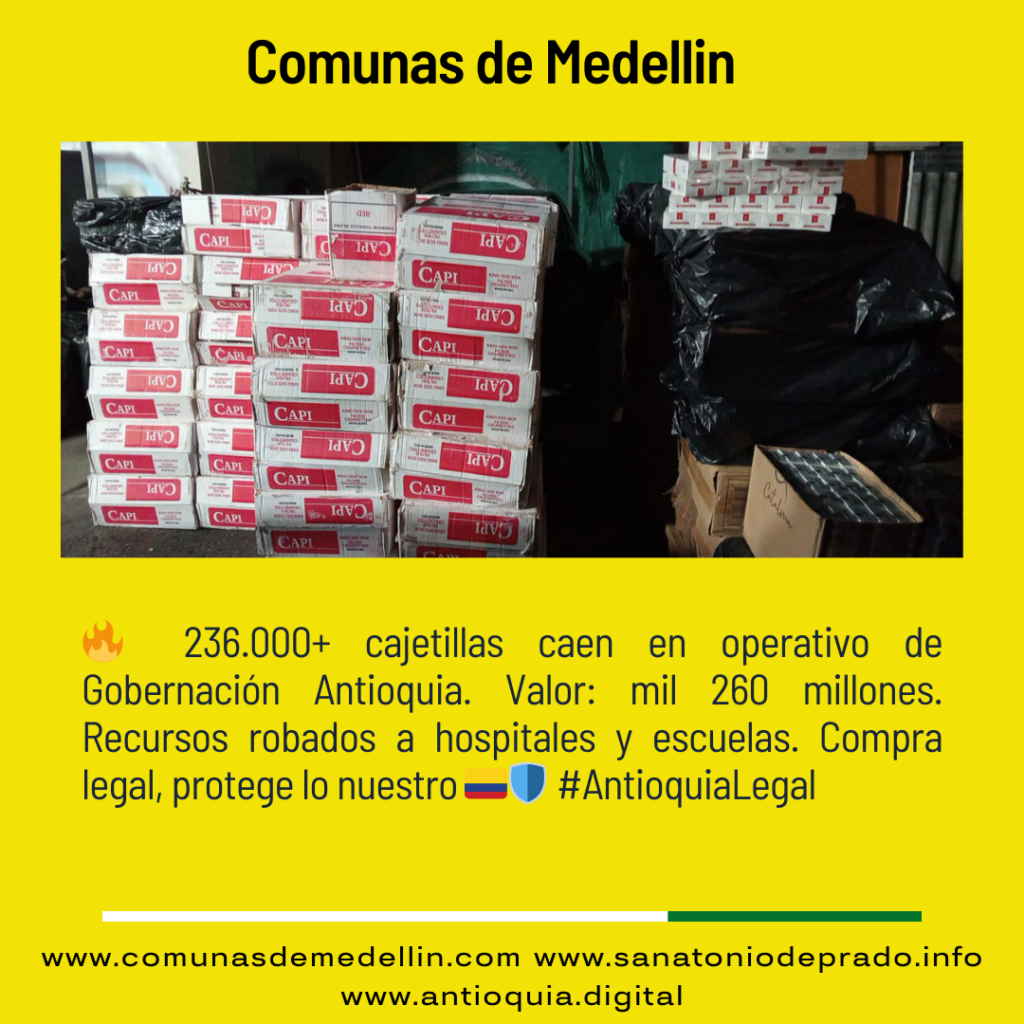 Incautan 236 mil cajetillas ilegales en comuna 16
