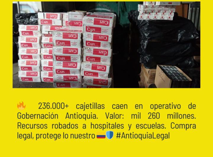 Incautan 236 mil cajetillas ilegales en comuna 16