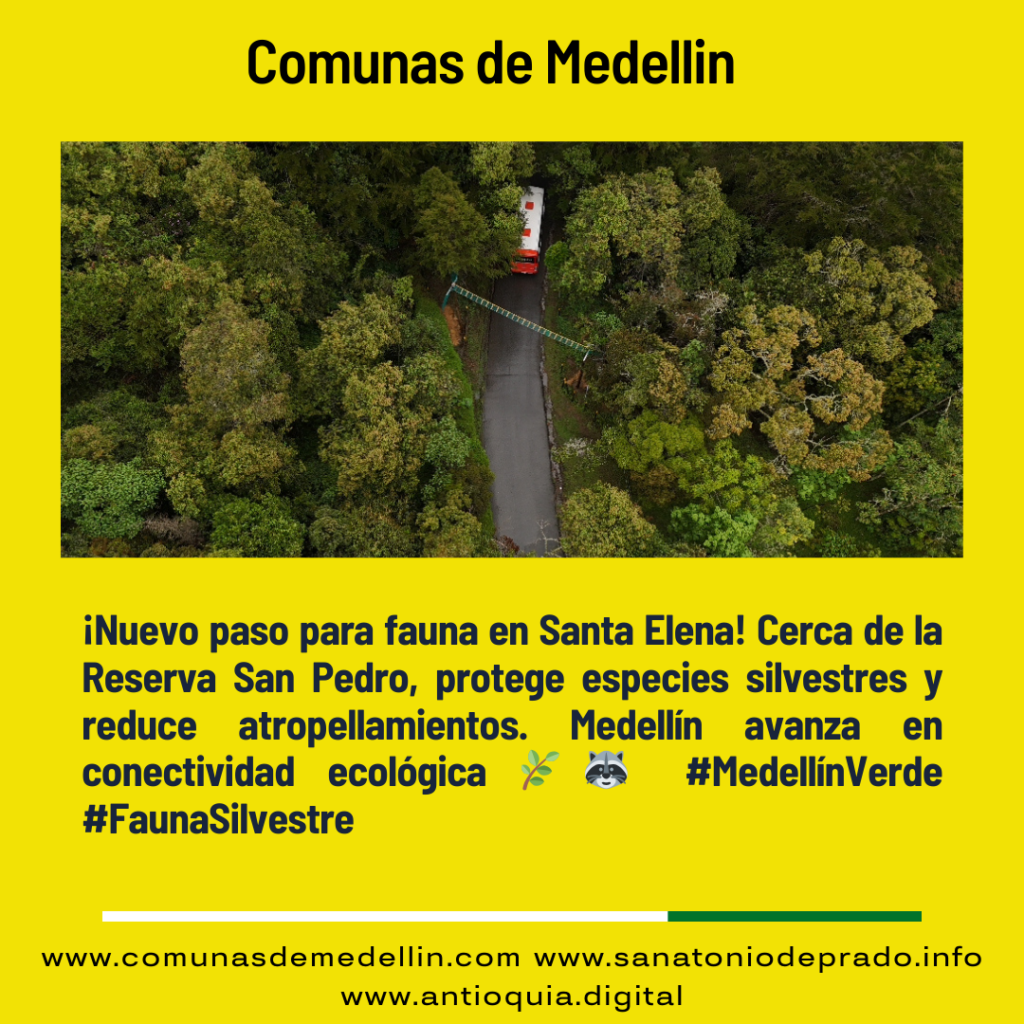 Nuevo Paso Fauna Santa Elena Medellín