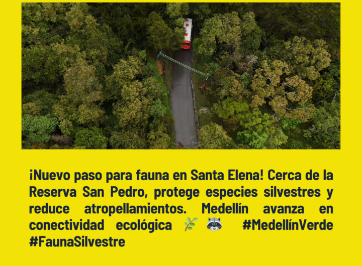Nuevo Paso Fauna Santa Elena Medellín