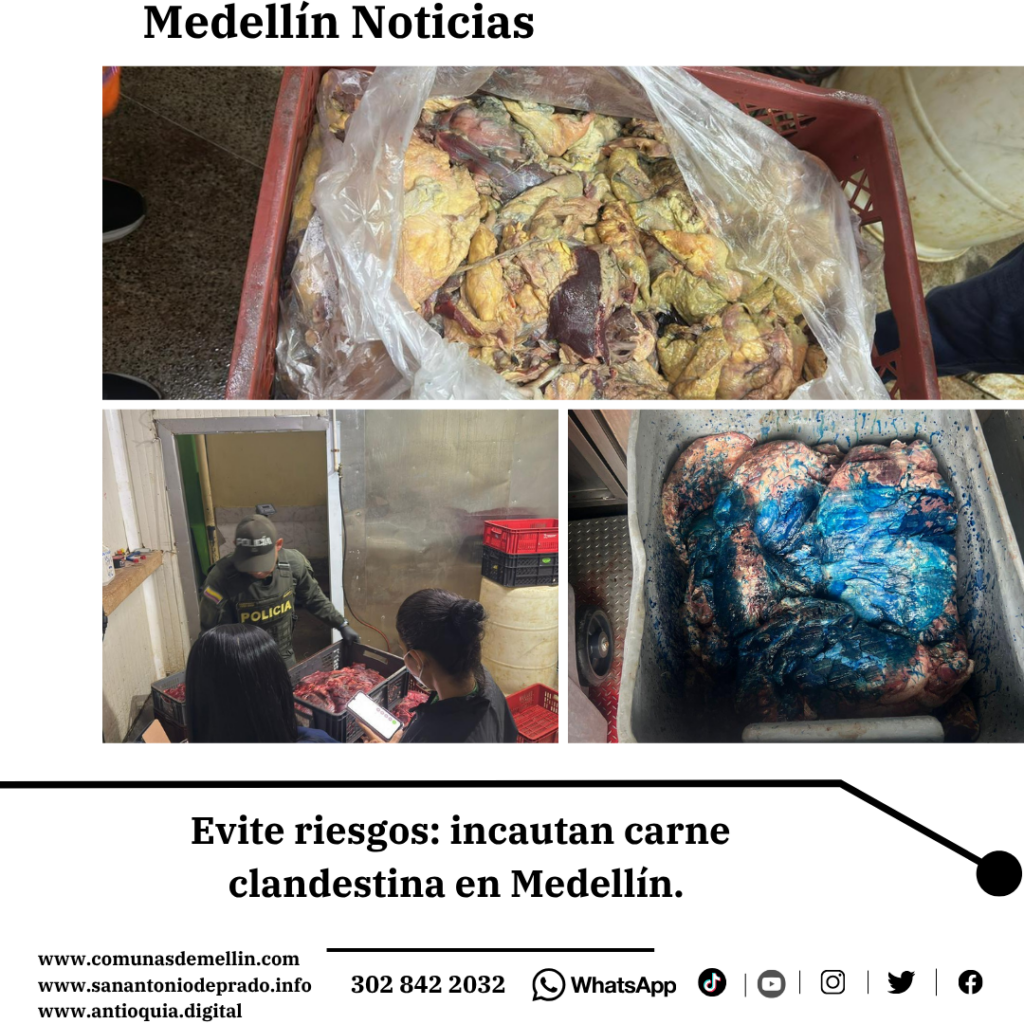 Incautan 3 Toneladas Carne Campo Valdés