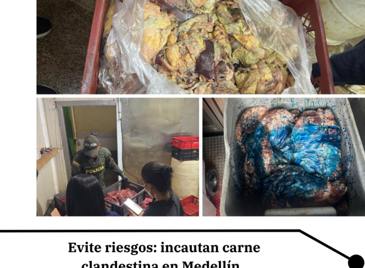 Incautan 3 Toneladas Carne Campo Valdés