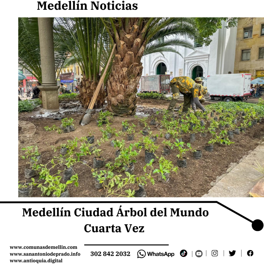 Medellín Ciudad Árbol del Mundo por Cuarta Vez