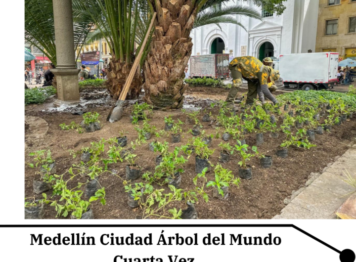 Medellín Ciudad Árbol del Mundo por Cuarta Vez