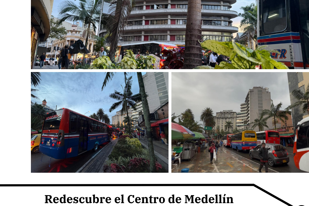 El Centro Florece Transforma Avenida Primero de Mayo