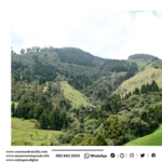 Medellín cierra convocatoria PSAH 2026 con 204 hectáreas para proteger el agua