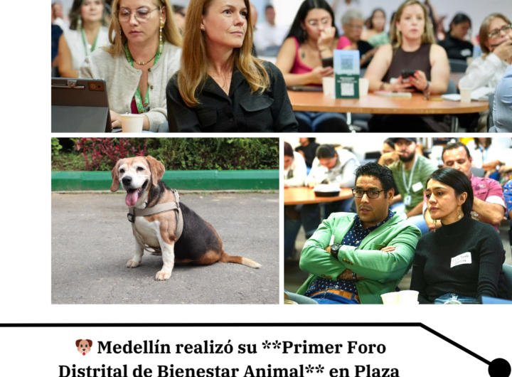 Primer Foro Bienestar Animal Medellín 2026