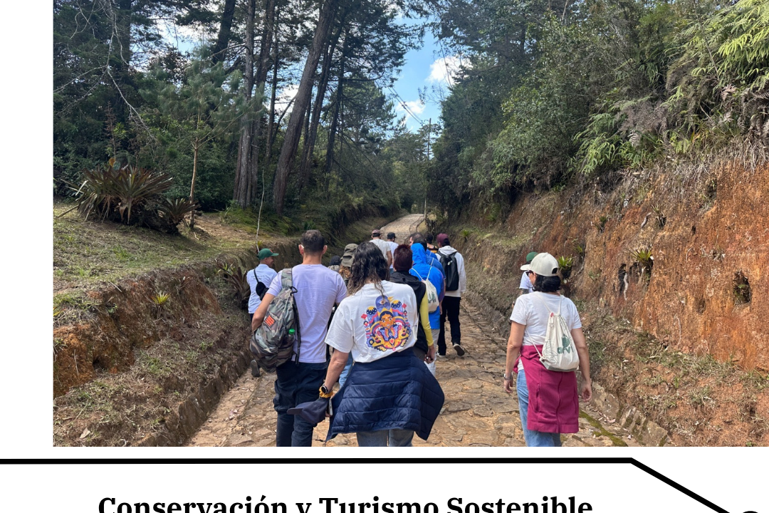 Parque Arví beneficia a 345 mil personas en Medellín