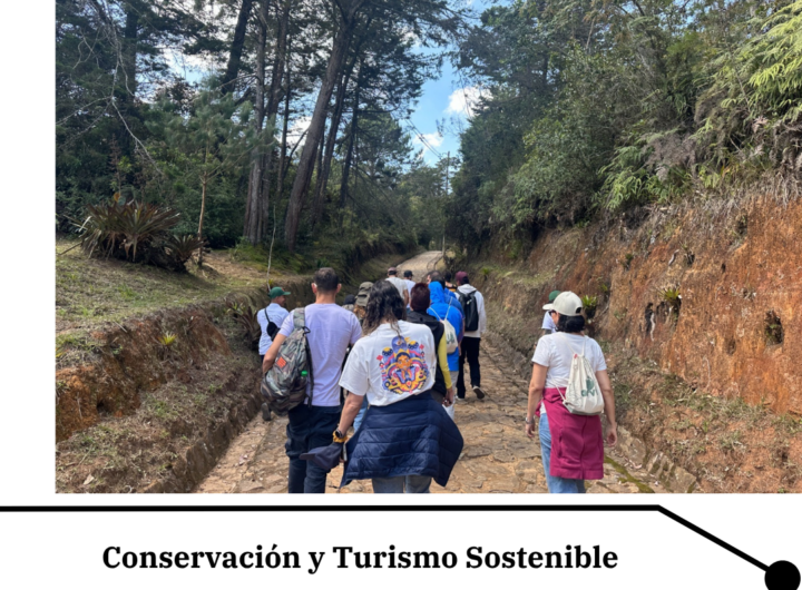 Parque Arví beneficia a 345 mil personas en Medellín